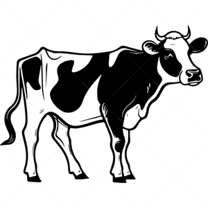 Cow-cow1_1f164a0b-38f3-4c82-afd0-60da28a4729f-Makers SVG